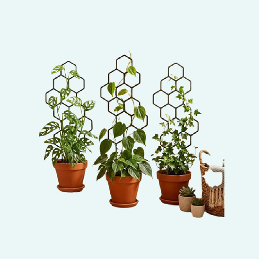 2pcs Honeycomb Design Plant Trellis, Rustproof Plastic Support for Potted Vines and Flowers, Indoor Outdoor Garden Climbing Frame